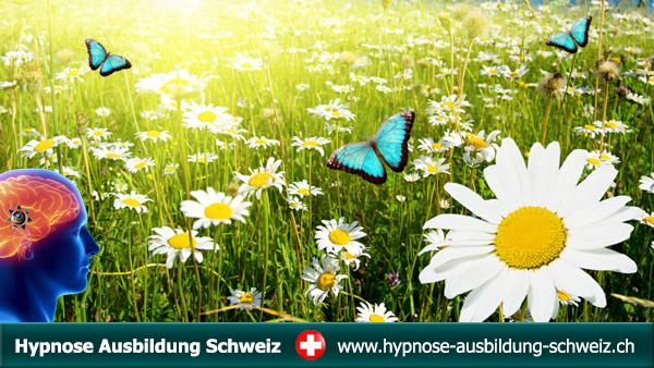 image-3921763-Hypnose-Ausbildung-Schweiz.jpg